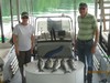 (05/25/2014) - Nice Striped Bass